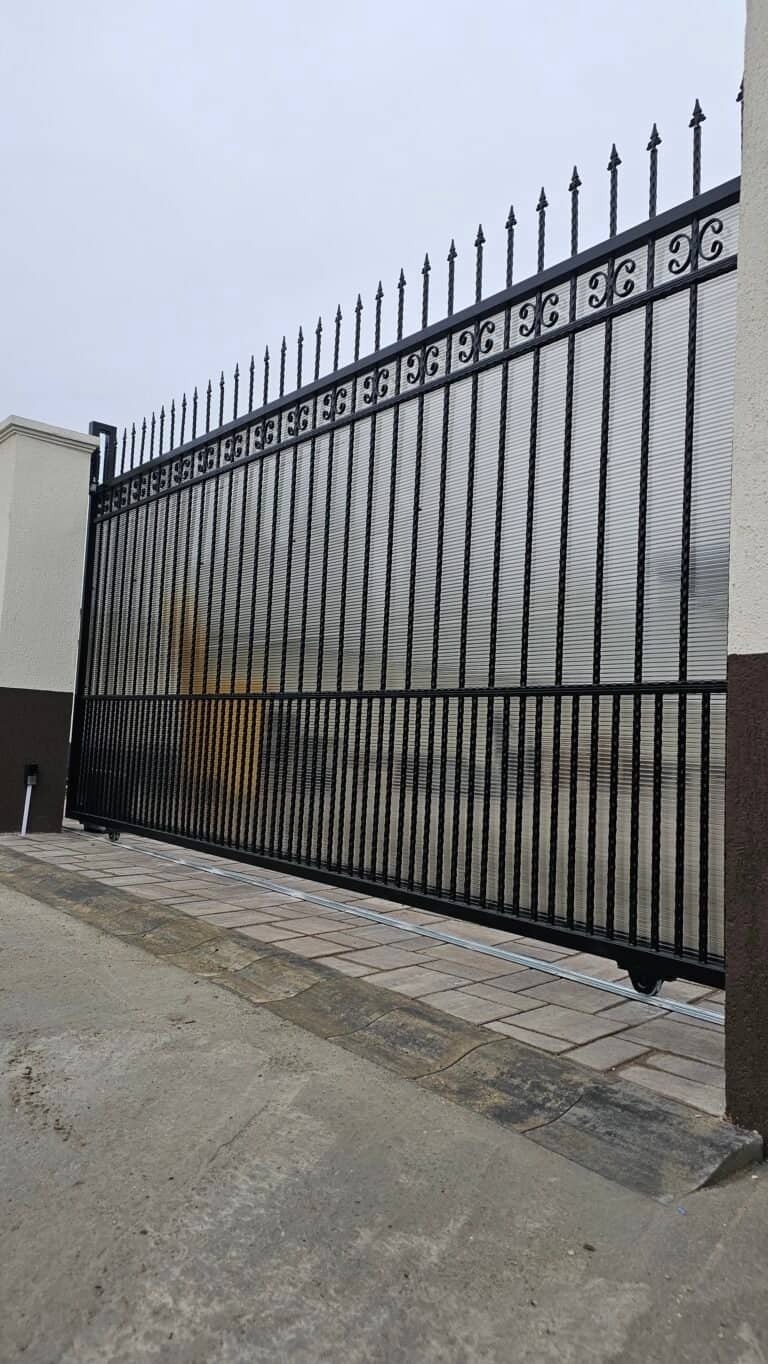 Porți din fier forjat cu vârfuri decorative pentru securitate și estetică.